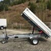 Kipper Pongratz L-RK 2315 G-AL – Rückwärtskipper 1.500kg