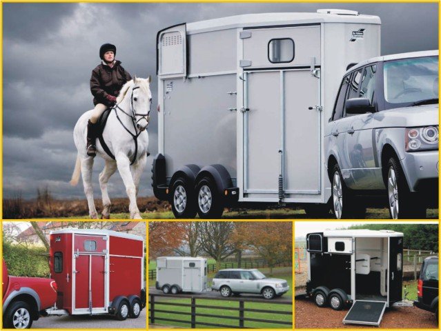 Ifor Williams Pferdeanhänger HB506|Frontausstieg|Klappenkombi|schwarz – Bild 2