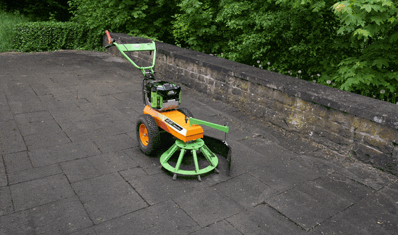 AS-Motor_AS_60_E-WeedHex_G07300115_02.gif
