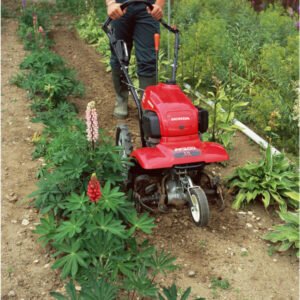 FF-300-Motorfr-se_3.jpg