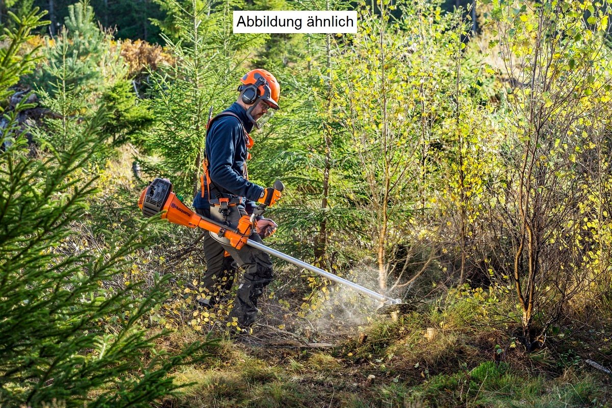 Forstfreischneider_Action_02.jpg
