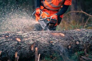 HUSQVARNA-592-XP-R-_010-1.jpg