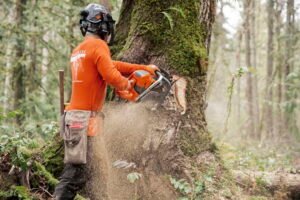 HUSQVARNA-592-XP-R-_013-1.jpg