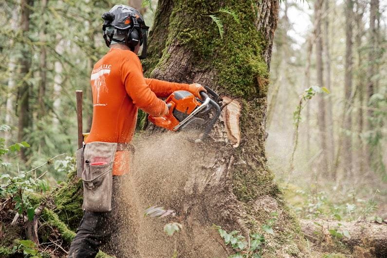 HUSQVARNA-592-XP-R-_013-1.jpg