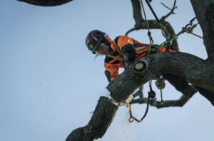 Husqvarna-T540iXP-_01.jpg