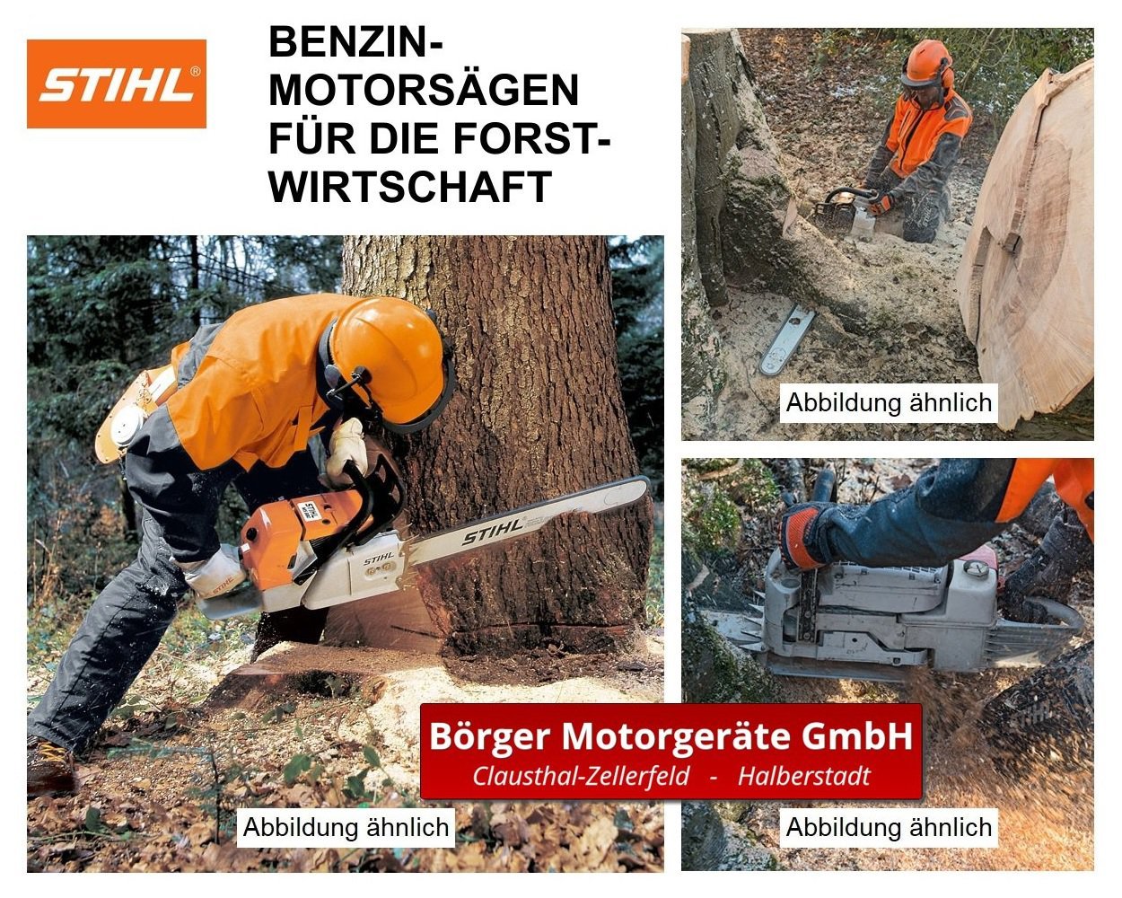STIHL_Motorsaege_ForstwyMAYmXJYp7uC-5.jpg