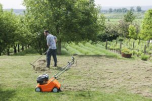 Stihl-Vertikutierer-Rasenl-fter-Benzin-RL-540_03.jpg