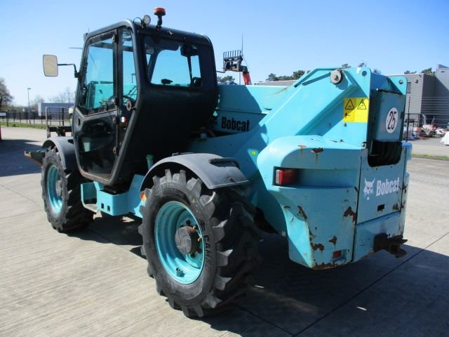 bobcat-019-1681976980.jpg