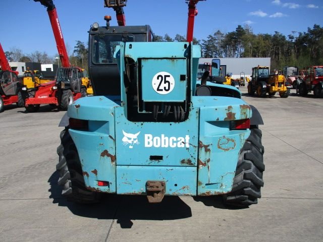 bobcat-026-1681976980.jpg